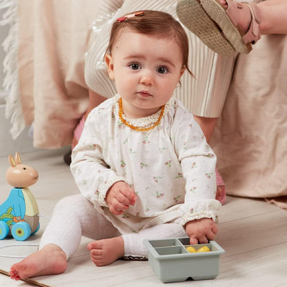 Silicone Baby Snack Box Ice Cube Tray with Lid Ideal for Freezing Weaning Grey