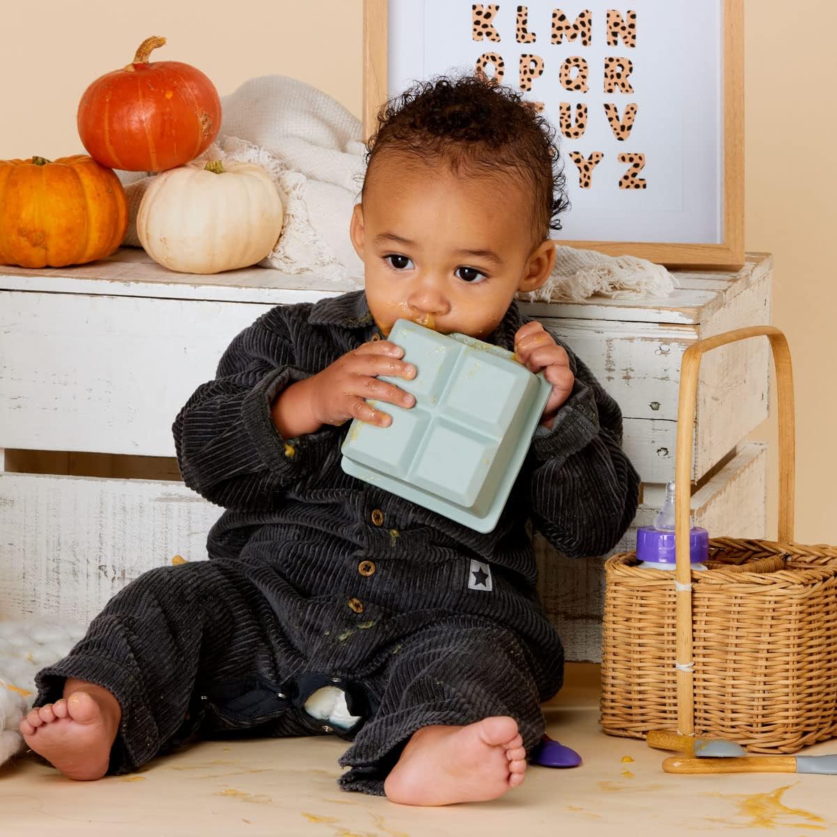 Silicone Baby Snack Box Ice Cube Tray with Lid Ideal for Freezing Weaning Grey